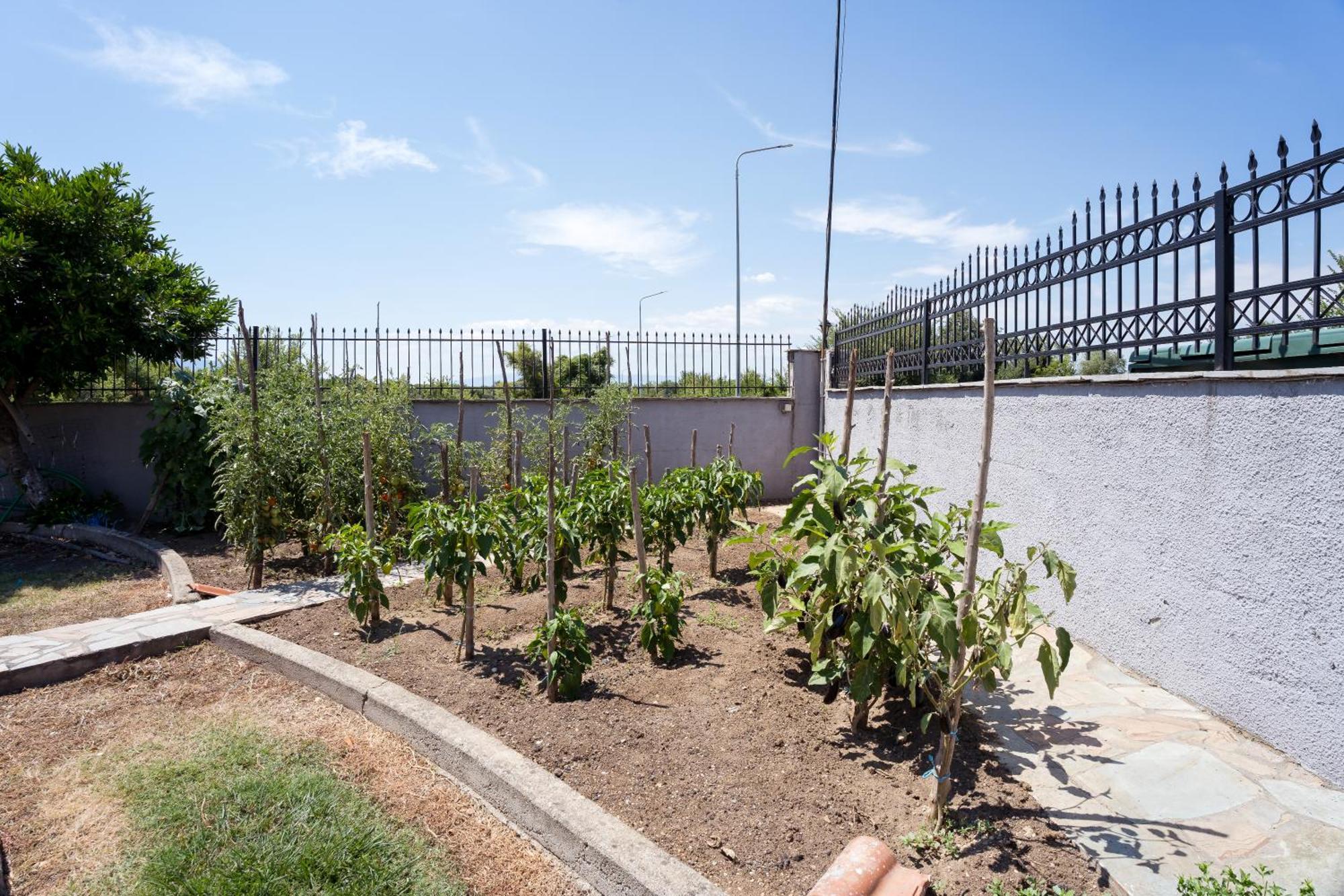 Ángistron Hotel Agistro מראה חיצוני תמונה