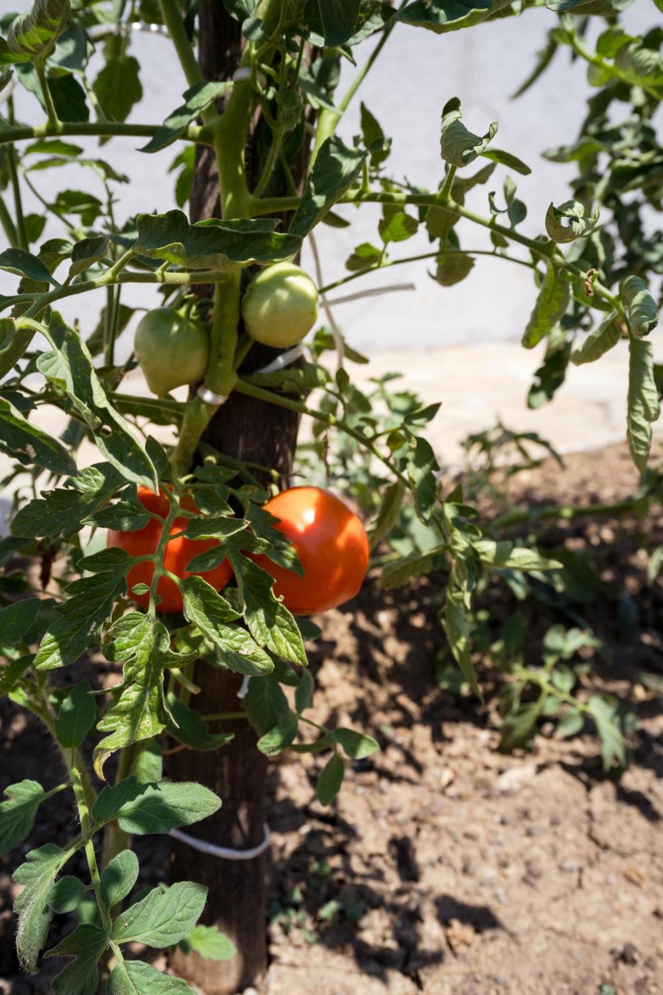 Ángistron Hotel Agistro מראה חיצוני תמונה